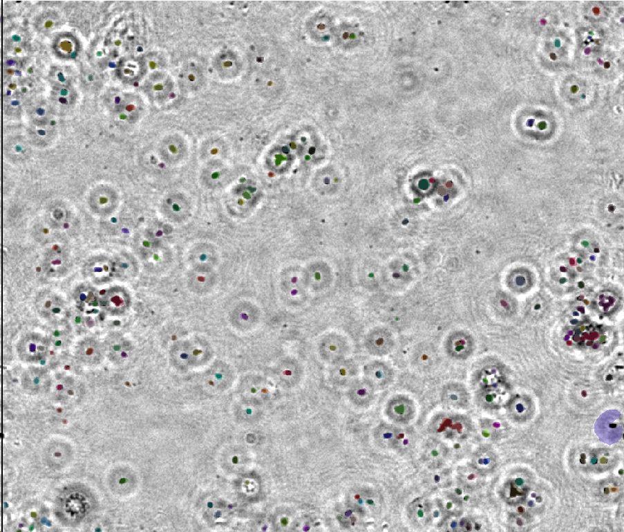 Figure 8   Cell identification technology