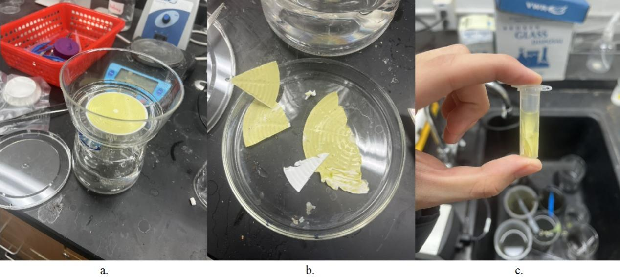 Figure 4   Physical picture of plankton laboratory processing a: water filtering, b: filter paper cutting, c: filter paper redissolution